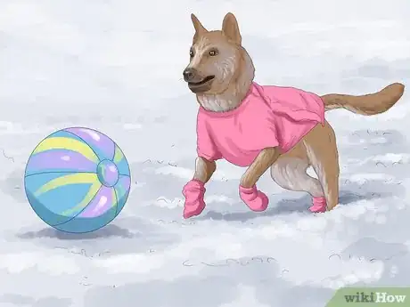 Image titled Keep Your Pets Safe in Winter Step 4