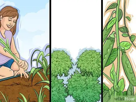 Image titled Choose Vegetables for a Shade Garden Step 4