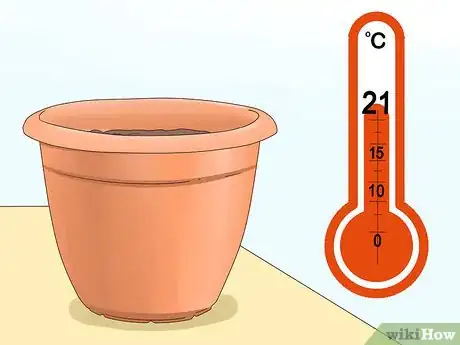 Image titled Grow Dill Indoors Step 5