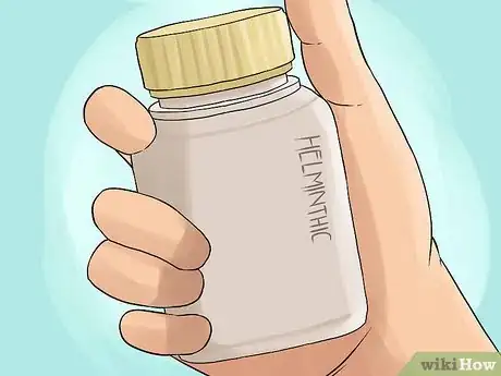 Image titled Diagnose Chronic Vomiting in Cats Step 11