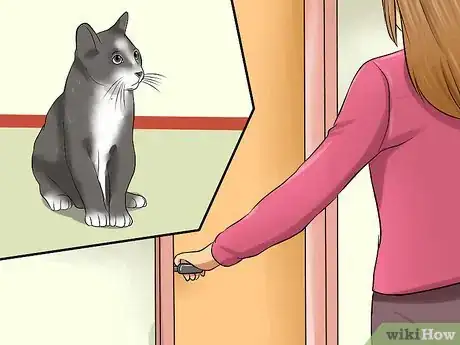 Image titled Keep a Cat Calm During Fireworks Step 1