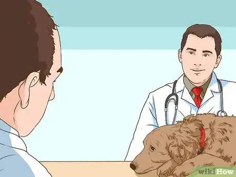 Image titled Manage Cognitive Dysfunction in Senior Dogs Step 4