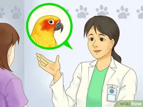 Image titled Feed a Conure Step 12