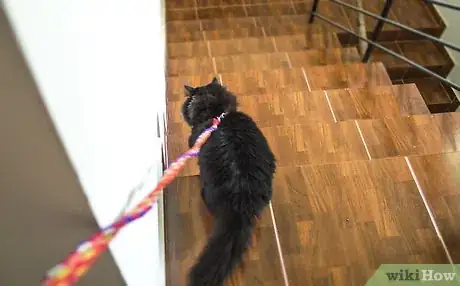 Image titled Take a Cat for a Walk Step 4