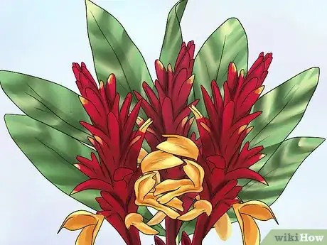 Image titled Create a Tropical Bouquet Step 14
