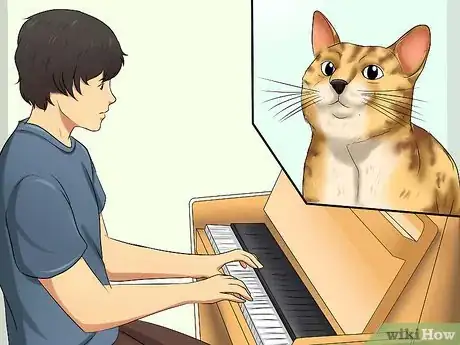 Image titled Keep a Cat Calm During Fireworks Step 5