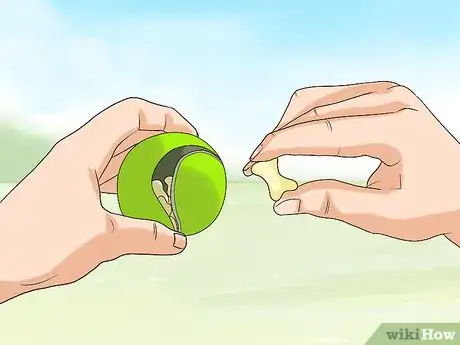 Image titled Have a Fun Day with Your Dog Step 12