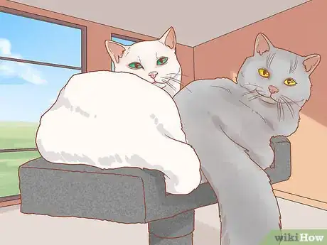 Image titled Keep Your Pets Happy Step 7