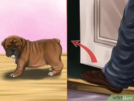 Image titled Prepare Your Small Dog for Apartment Living Step 8