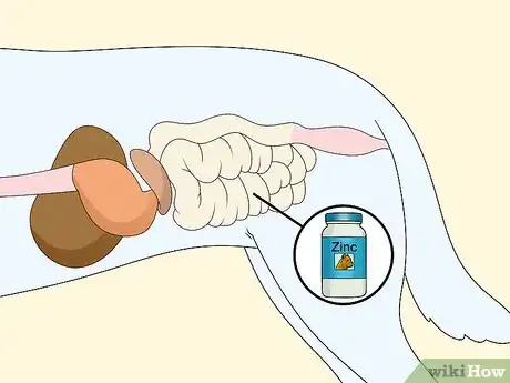 Image titled Treat Zinc Deficiency in Dogs Step 2