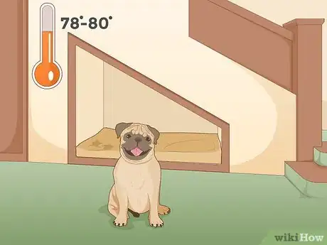 Image titled Keep a Dog Cool in Hot Weather Step 4