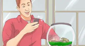 Make Moss Terrariums