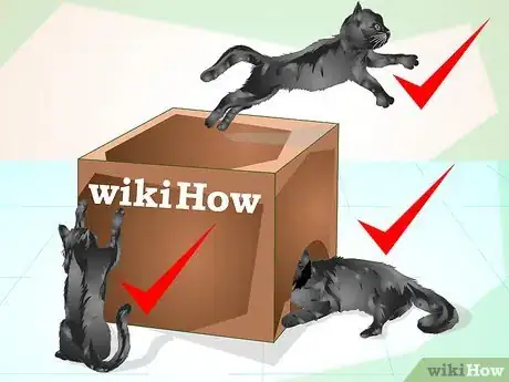 Image titled Train an Old Stubborn Cat to Do Tricks Step 15