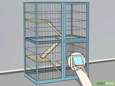 Image titled Let Your Ferret Out of Its Cage Step 12
