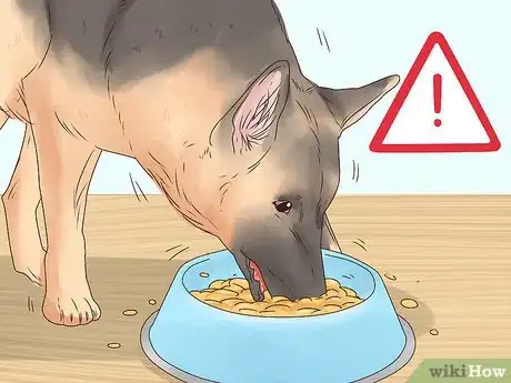 Image titled Stop a Dog from Eating Too Fast Step 11