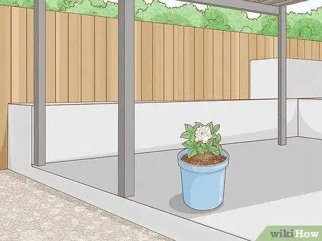 Image titled Transplant Potted Flowers Outdoors Step 19