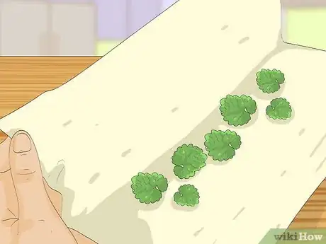 Image titled Eat Creeping Charlie Step 4