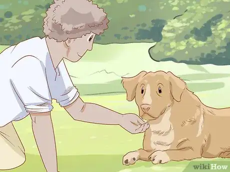 Image titled Teach Your Dog to Duck Step 4