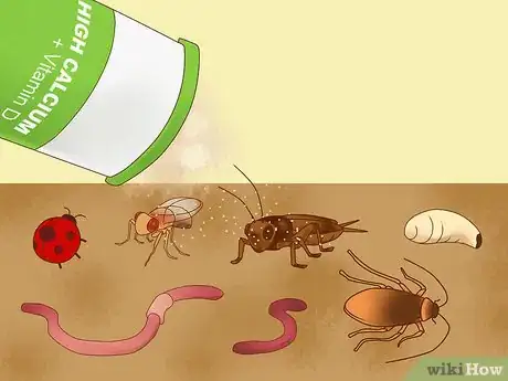 Image titled Feed a Lizard Step 11