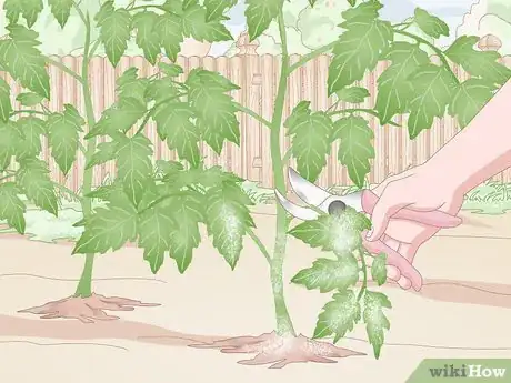 Image titled Prevent Spider Mites Step 6