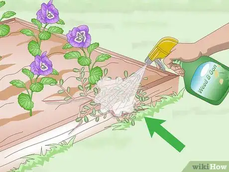 Image titled Kill Purslane Step 7