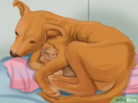 Image titled Make Sure That Your Dog Is Ok After Giving Birth Step 10