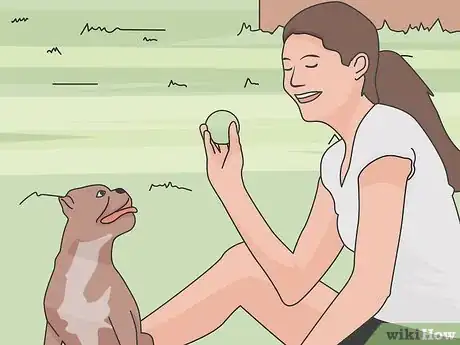 Image titled Take CBD Oil for Fibromyalgia Step 11