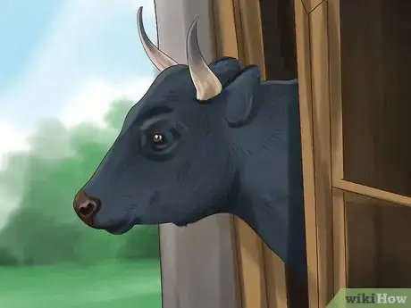 Image titled Give Cattle Hormones Step 2