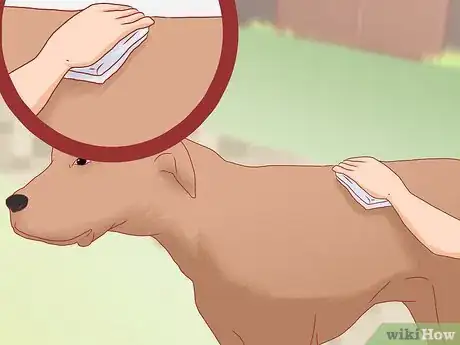 Image titled Care for Great Danes Step 7