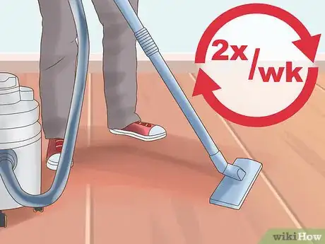 Image titled Get Dog Smell Out of a Basement Step 24