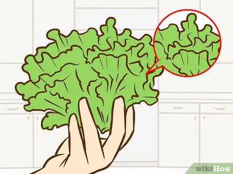 Image titled Buy Salad Greens Step 6