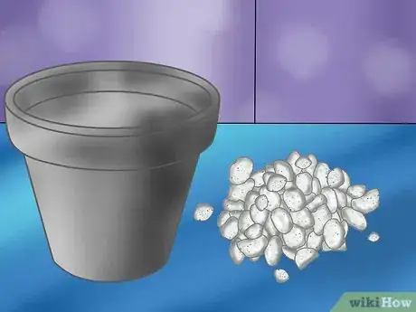 Image titled Start a Homemade Hydroponic Garden Step 3