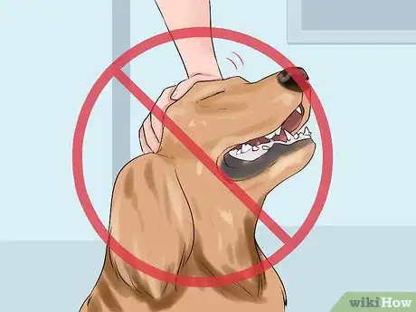 Image titled Discourage Your Host's Obnoxious Dog Step 7