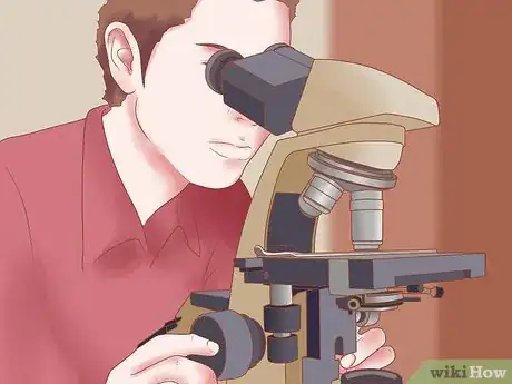 Image titled Identify Wood Step 2