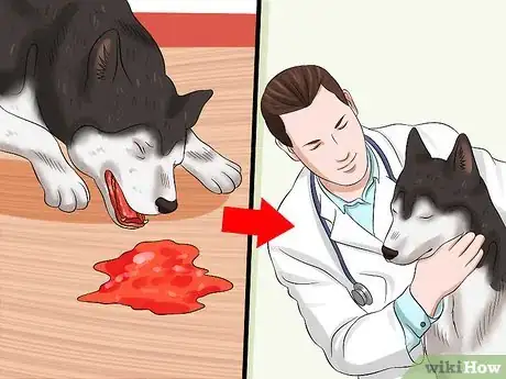 Image titled Cure Frequent Dog Vomiting Step 9
