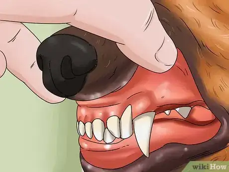 Image titled Calculate Dog Years Step 2