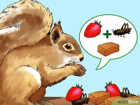 Image titled Keep a Pet Squirrel Step 7