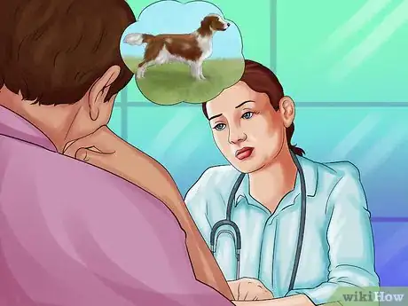Image titled Identify a Welsh Springer Spaniel Step 12