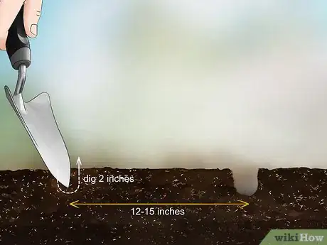 Image titled Plant Liatris Step 9