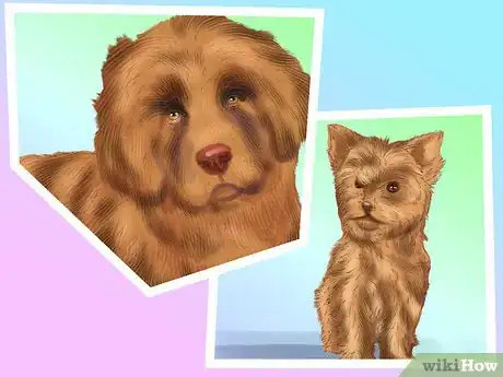 Image titled Keep Your Senior Dog Safe Around Young Kids Step 10