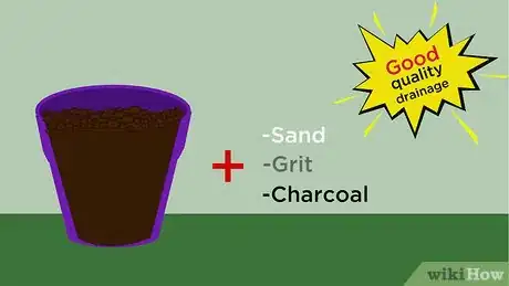 Image titled Grow Hoya Bella (Miniature Wax Plant) Step 6