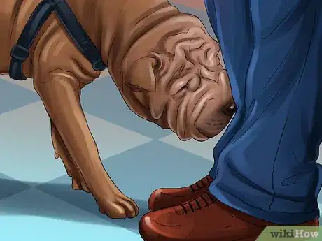 Image titled Rehome a Rescue Dog Step 13