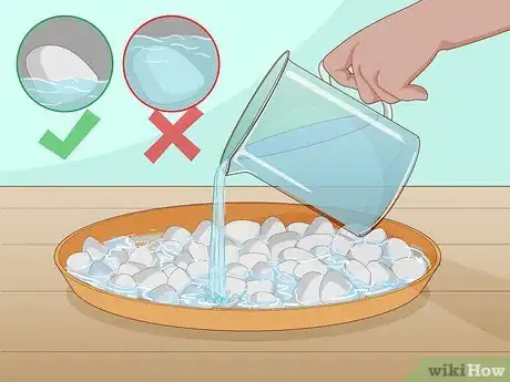 Image titled Create Humidity for Indoor Plants Step 7