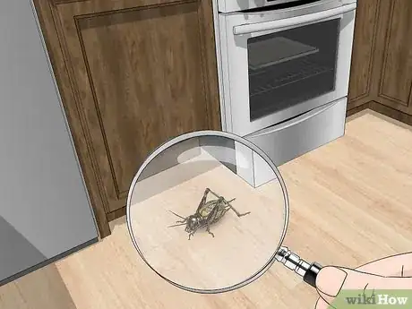 Image titled Watch Insects Step 8