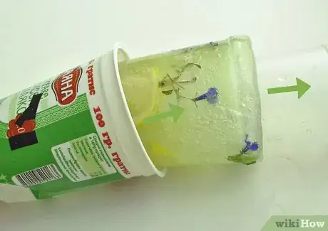 Image titled Make Ice Candles Step 22