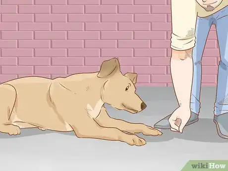Image titled Teach Your Dog to Duck Step 5