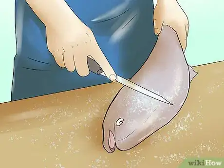 Image titled Can Salmon Step 1