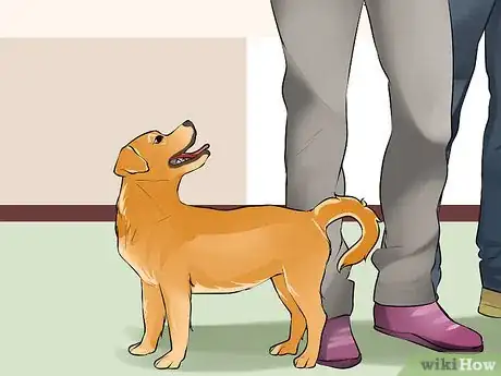 Image titled Care for a Recently Rehomed Dog Step 15