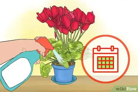 Image titled Care for Cyclamen Plants Step 3