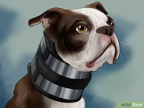 Image titled Watch a Dog for Stiff or Limp Movements Step 5